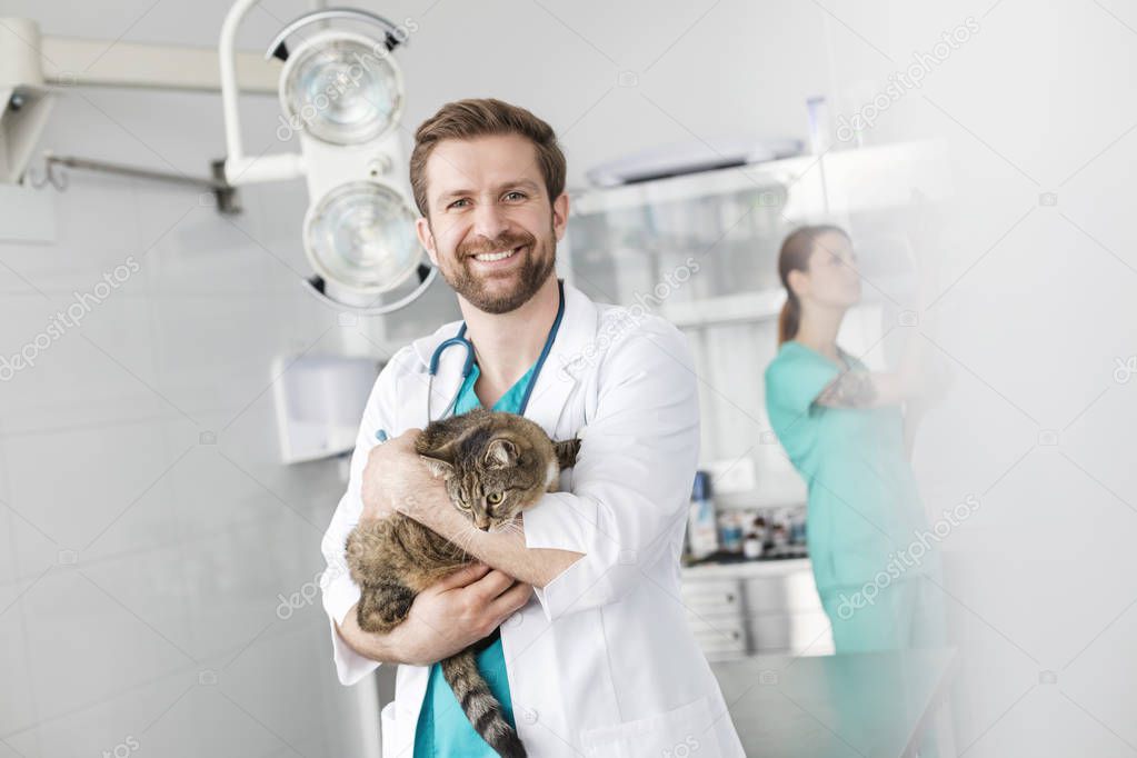Portrait of smiling doctor carrying cat while standing against coworker at veterinary clinic