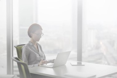 Young businesswoman using laptop while sitting at desk in office
