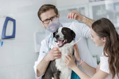 Klinikte köpek koni yaka tutan Veteriner doktor ve kız