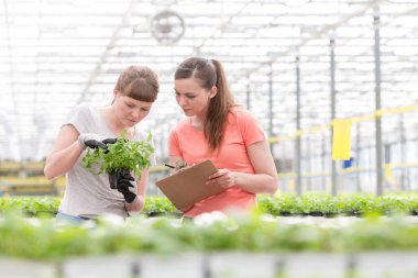 Kendine güvenen kadın botanikçiler fidan bitki Kreş üzerinde tartışıyor