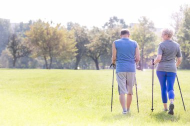 Sahada yürüyüş Polonyalılar hiking ile sağlıklı üst düzey çiftin arkadan görünüş