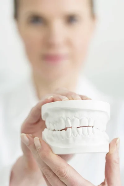 Close Dentista Feminino Segurando Dentaduras Brancas Clínica — Fotografia de Stock