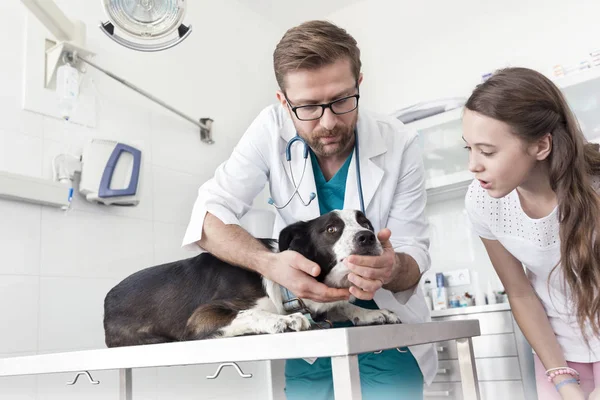 女孩看兽医检查狗在诊所的桌子上 — 图库照片