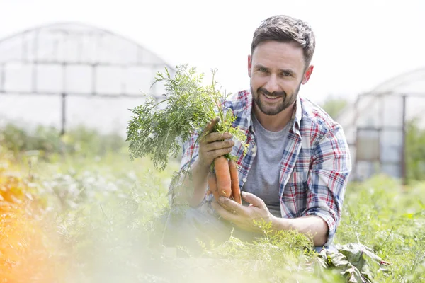 Retrato Del Granjero Adulto Sonriente Cosechando Zanahorias Granja —  Fotos de Stock