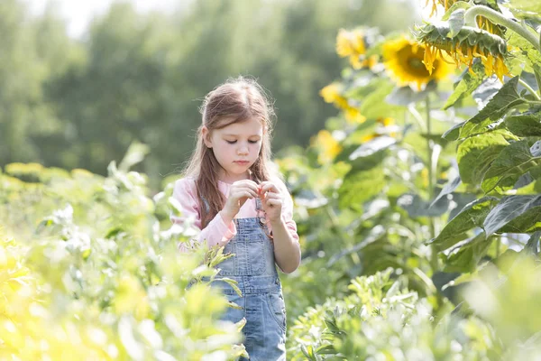 Innocent Girl Standing Sunflower Plants Farm — Stock Photo, Image