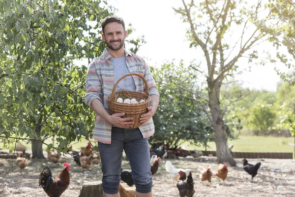Çiftlikte Arka Planda Tavuklarla Sepette Yumurta Tutan Adam — Stok fotoğraf
