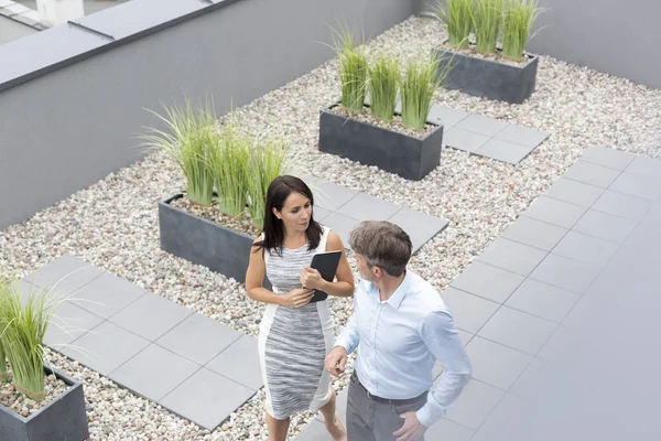 High Angle View Businesswoman Communicating Colleague Office Terrace — Stock Photo, Image
