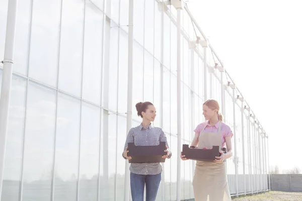 Coworkers Crates Talking While Walking Greenhouse — Stock Photo, Image