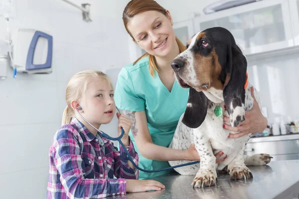 Veterinary Doctor Holding Dog Table While Girl Listening Stethoscope Clinic — Stock Photo, Image