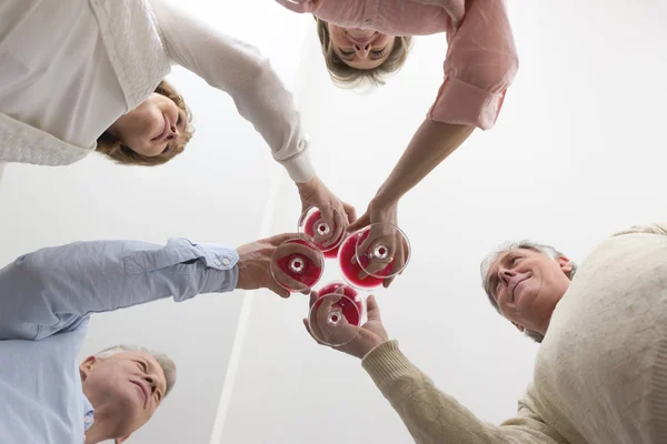 Directly View Mature Friends Toasting Wineglasses Home — Stock Photo, Image