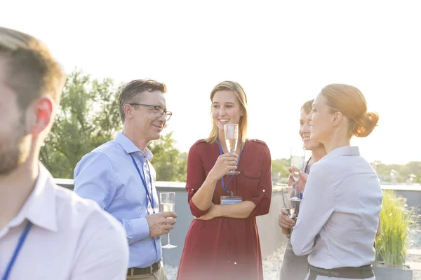 Affärskollegor Pratar Stående Med Vinglas Success Party Rooftop — Stockfoto