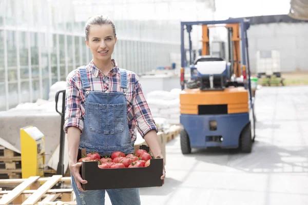 Portrait Smiling Farmer Tomatoes Crate Forklift — Stock Photo, Image