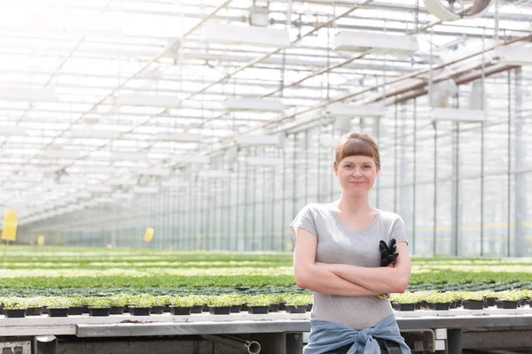 Portrait Confident Young Female Botanist Standing Arms Crossed Herbs Greenhouse — Stock Photo, Image