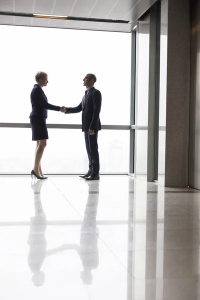 Volledige Lengte Zijaanzicht Van Volwassen Collega Schudden Handen Kantoor Corridor — Stockfoto