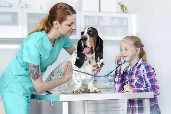 Veterinaire Arts Holding Hond Terwijl Meisje Luisteren Door Stethoscoop Kliniek — Stockfoto