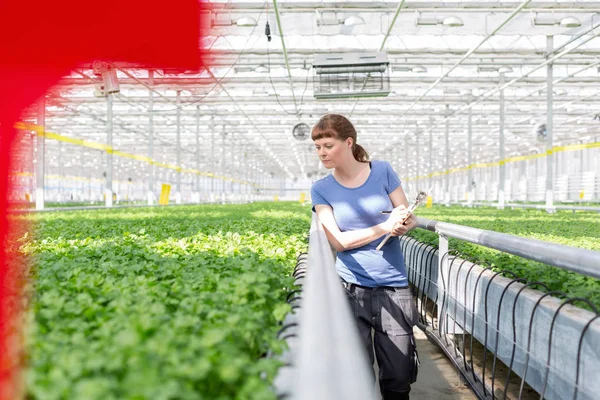 Young Female Botanist Examining Herbs While Writing Clipboard Plant Nursery — Stock Photo, Image