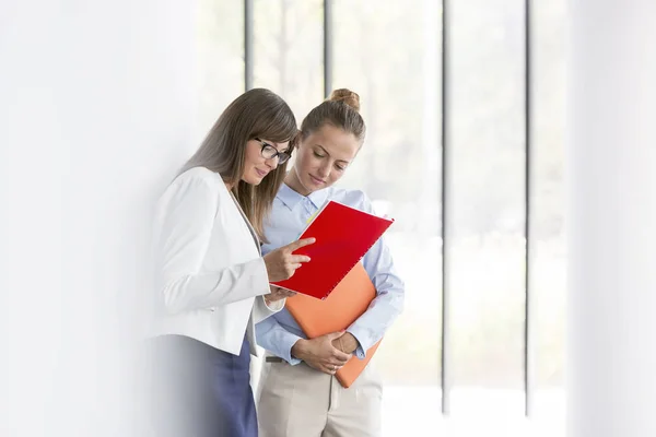 Businesswomen Discussing Document While Standing Office — Stock Photo, Image