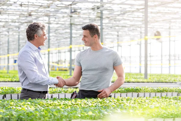 Empresario Confiado Estrechando Mano Con Botánico Masculino Invernadero — Foto de Stock