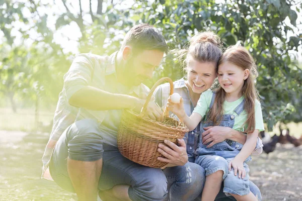 快乐的父母和女儿看着篮子里的新鲜鸡蛋 — 图库照片