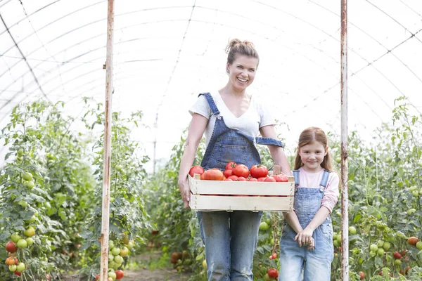 Glimlachende Moeder Dochter Met Tomaten Krat Kas — Stockfoto