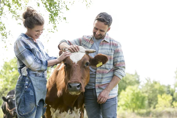 Smiling man and woman standing with cow at farm