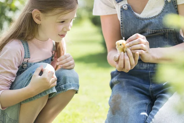 Mor Visar Små Chick Till Dotter Gården — Stockfoto