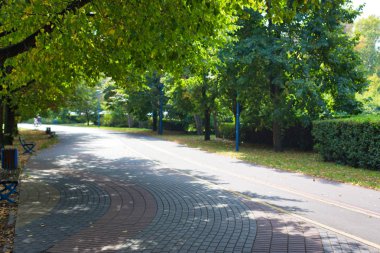 Parktaki patikanın güzel manzarası