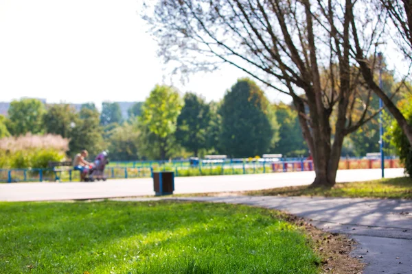 Belle Vue Sur Sentier Dans Parc — Photo