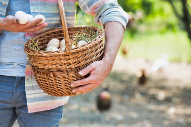 Çiftlikte yumurta tutan çiftçi görüntüsü