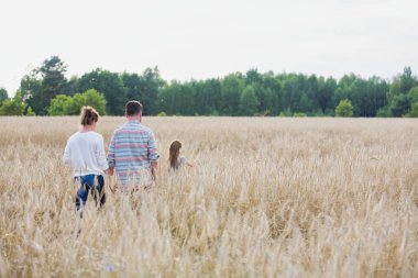 Çiftlikte bitkileri arasında yürüyüş aile arka görünümü