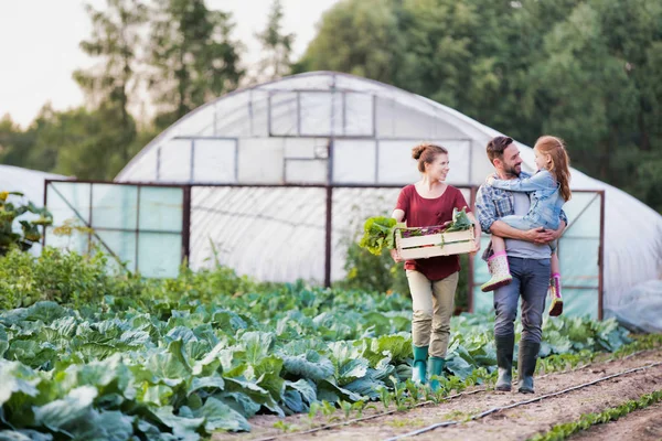 Smiling Family Vegetables Crate Walking Cabbages Farm — Stock Photo, Image