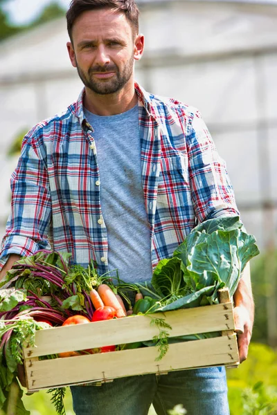 Porträt Eines Bauern Der Gemüse Einer Kiste Auf Einem Bauernhof — Stockfoto