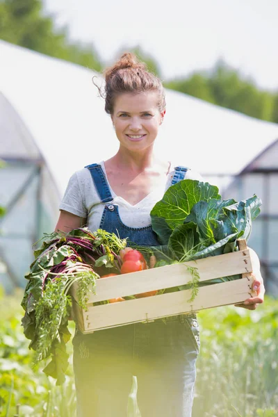 Portrait Smiling Adult Woman Holding Vegetables Crate Farm — Stock Photo, Image