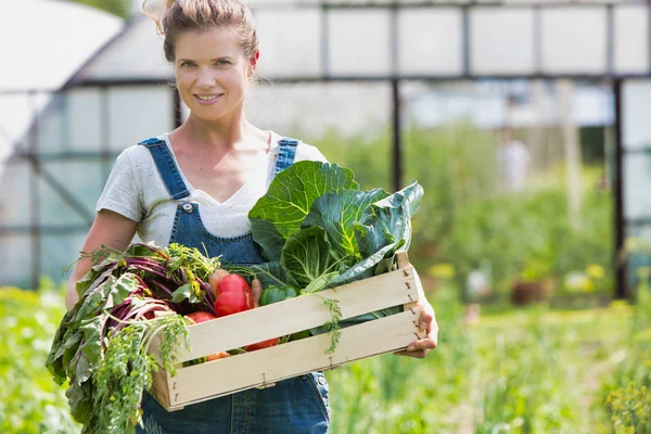 Portret Van Glimlachende Volwassen Vrouw Bedrijf Groenten Krat Boerderij — Stockfoto