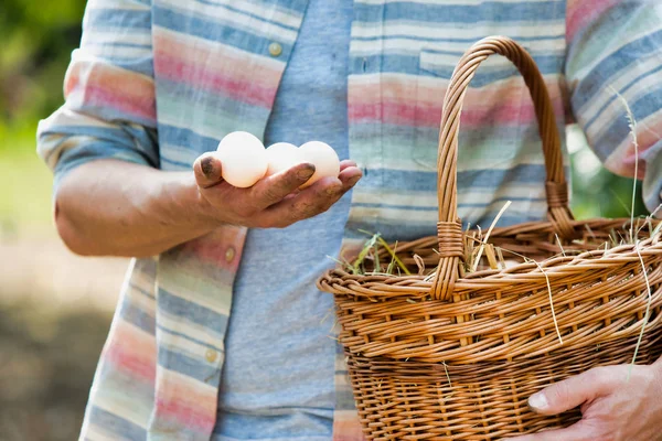 Cropped Image Farmer Holding Eggs Farm — Stock Photo, Image