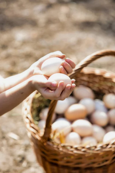 Cropped Image Girl Holding Eggs Farm — Stock Photo, Image