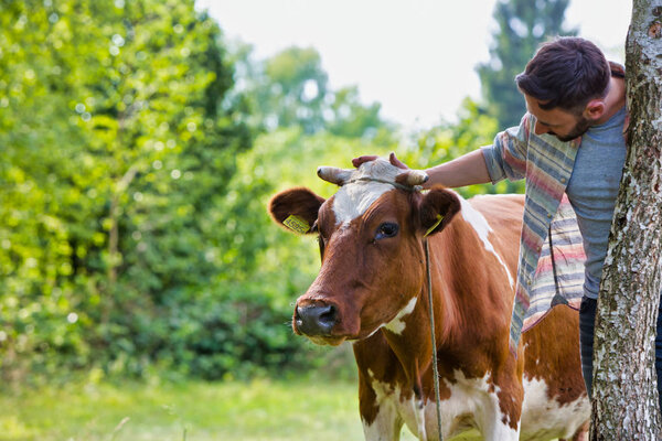 Smiling adult man standing near cow at farm