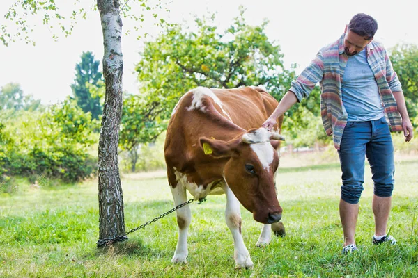 Smiling adult man standing near cow at farm