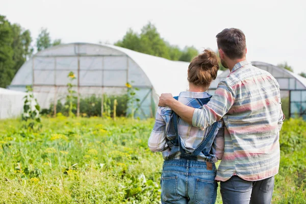 Achteraanzicht Van Paar Kijken Naar Planten Groeien Boerderij — Stockfoto