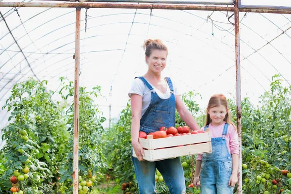 Lächelnde Frau Hält Kiste Mit Frischen Tomaten Auf Bauernhof — Stockfoto