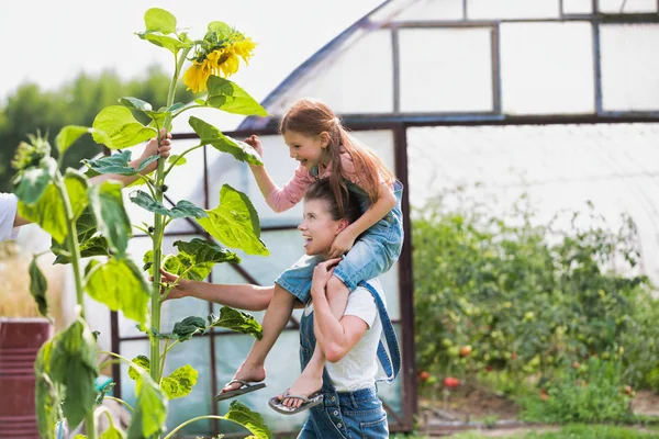 Smiling Mother Carrying Daughter Shoulders Sunflower Plants Farm — Stock Photo, Image