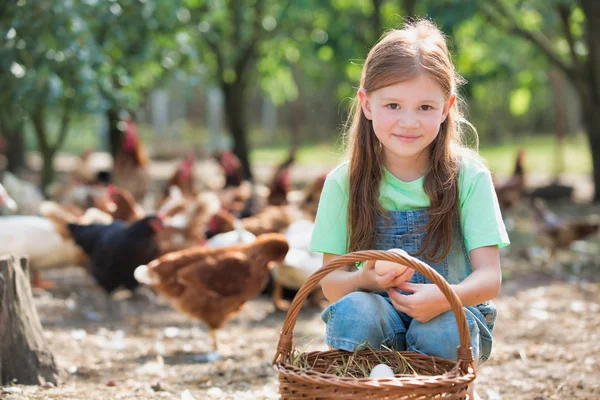 Retrato Menina Bonito Segurando Ovos Cesta Fazenda — Fotografia de Stock