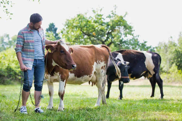 Smiling adult man standing near cows at farm