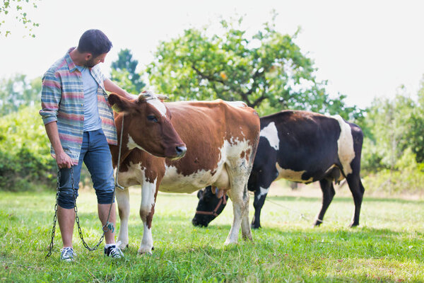 Smiling adult man standing near cows at farm