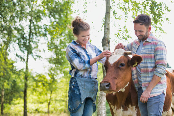 Smiling couple standing with cow at farm