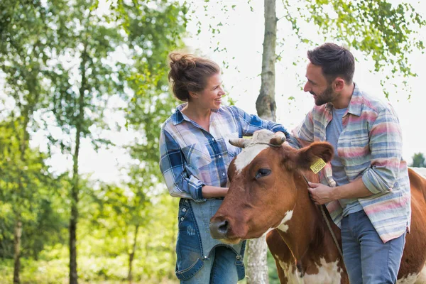 Lächelndes Paar Steht Mit Kuh Auf Bauernhof — Stockfoto