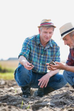 İş arkadaşlarınızla alan gökyüzü karşı çiftliğinde topraklarında incelenmesi