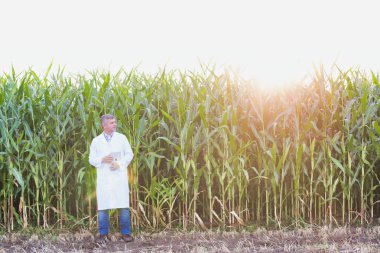 Bitkileri çiftliğinde inceliyor dijital tablet ile olgun bilim adamı