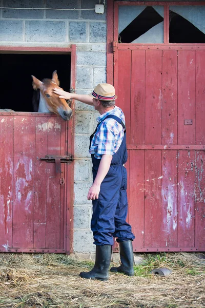 Volwassen Man Aanraken Van Paard Stal Boerderij — Stockfoto