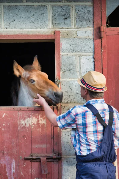 Zralý Muž Dotýkat Koně Stáje Farmě — Stock fotografie